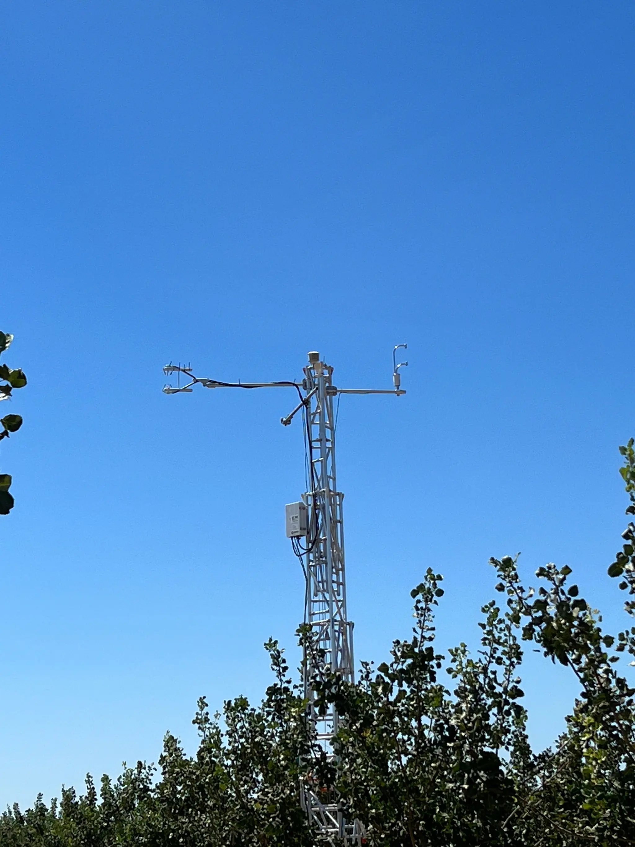 The LI-710 Evapotranspiration Sensor on the eddy covariance tower at the US-PAS AmeriFlux site.