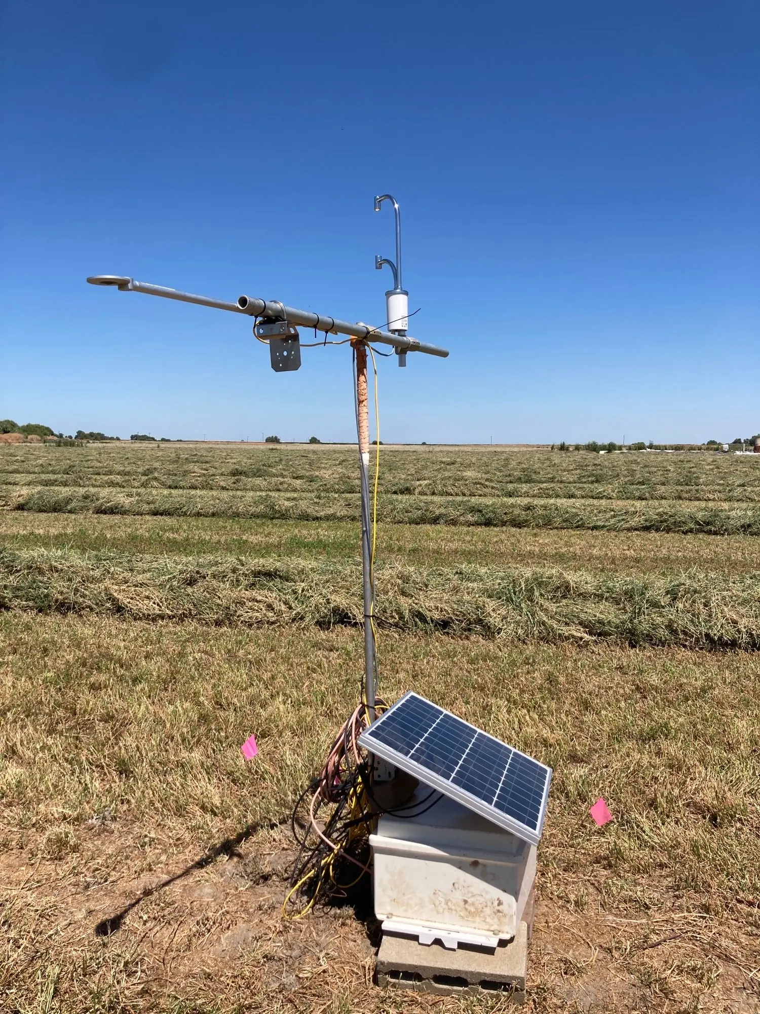 The LI-710 Evapotranspiration Sensor on the eddy covariance tower at the US-PAS AmeriFlux site.