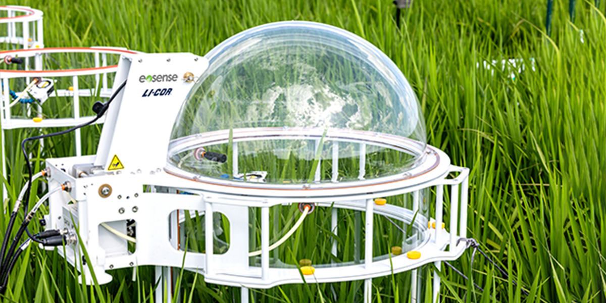 clear long term chamber