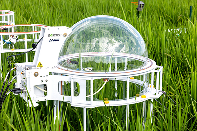 8200-104C Clear Long-Term Chamber