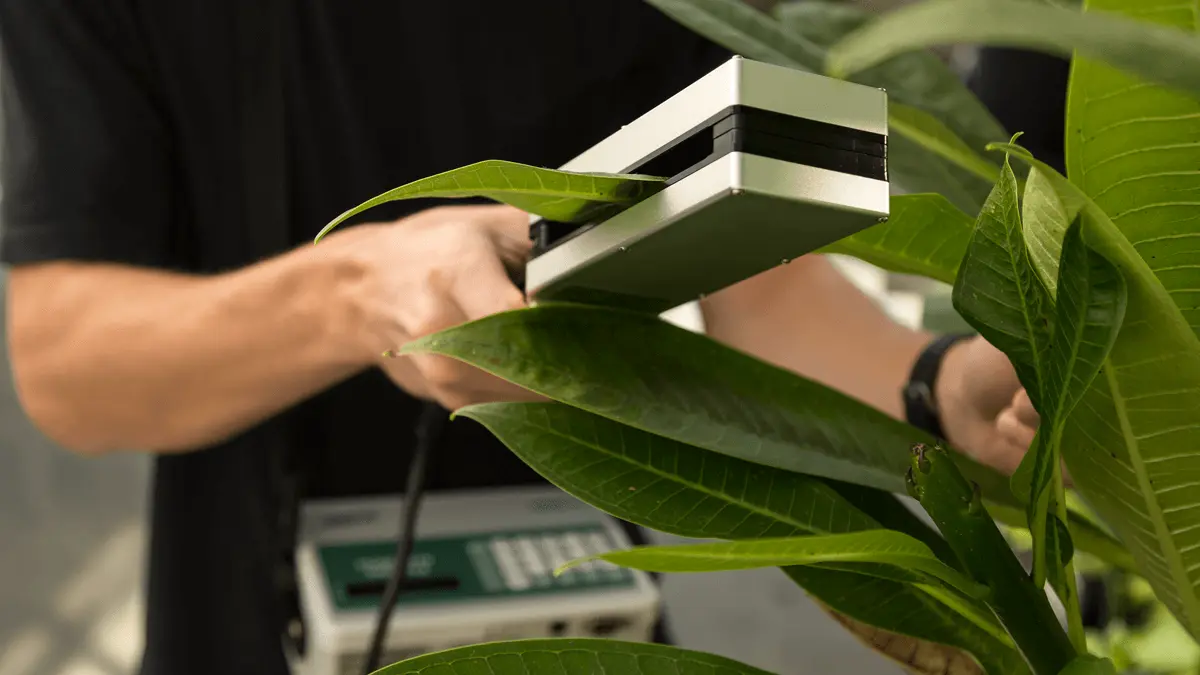 the LI-3000C in action