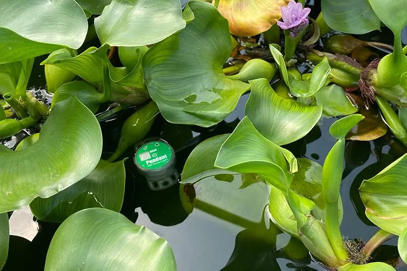 MX2202 Bluetooth Temperature & Light Logger