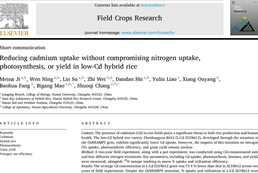 LI-6800应用案例|【Field Crops Res.】镉低积累水稻品种的氮吸收、光合作用及产量稳定性评估