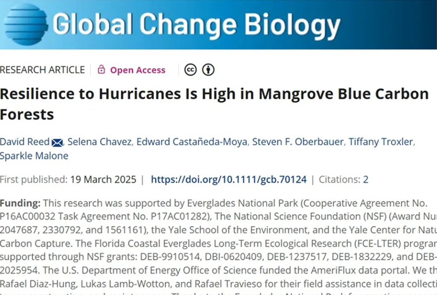 LI-7500应用案例 | 【Global Change Biology】极具韧性的蓝碳生态系统——红树林
